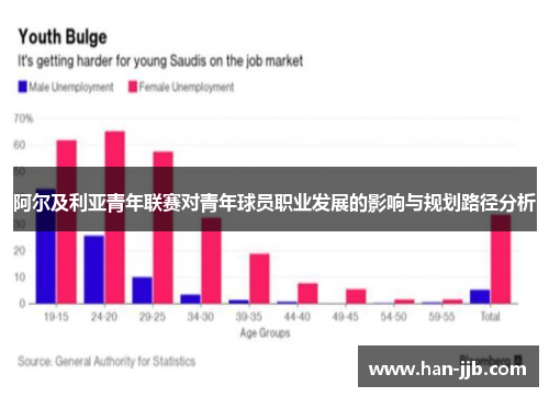 阿尔及利亚青年联赛对青年球员职业发展的影响与规划路径分析