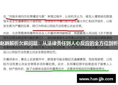 赵鹏解析欠薪问题：从法律责任到人心反应的全方位剖析