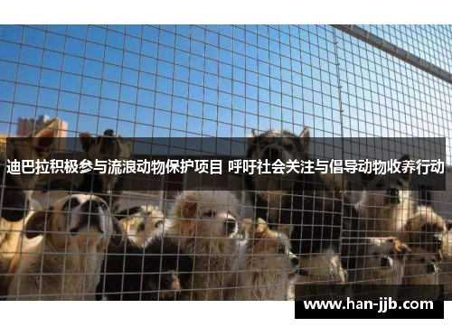 迪巴拉积极参与流浪动物保护项目 呼吁社会关注与倡导动物收养行动